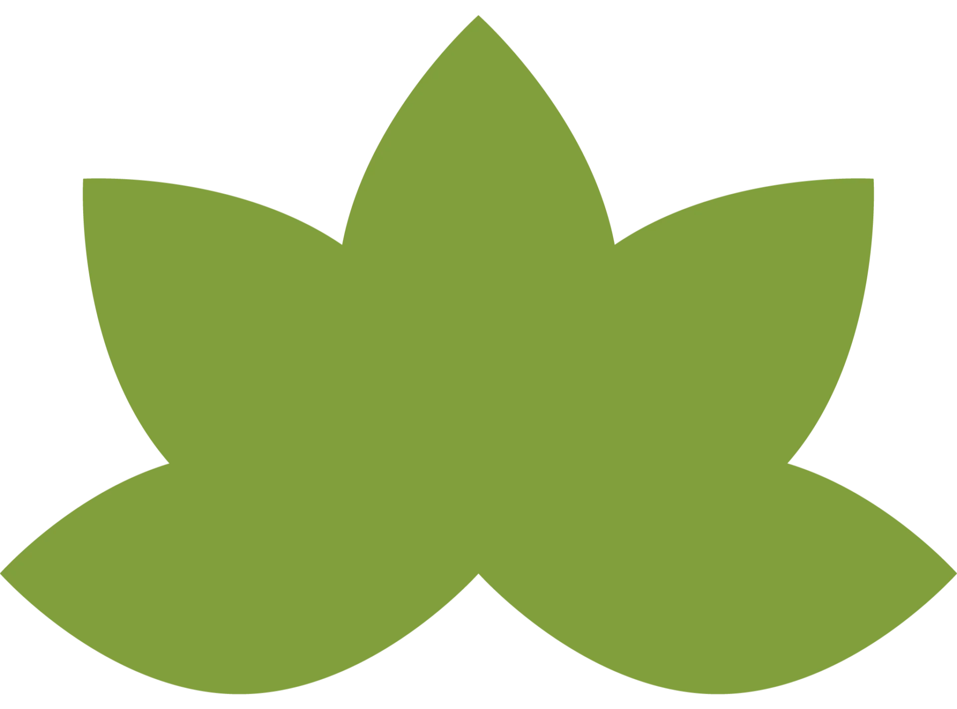 Green lotus flower on a white background